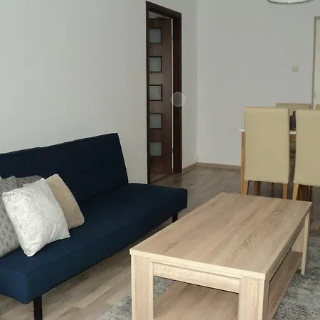 Joy * تيميشورا