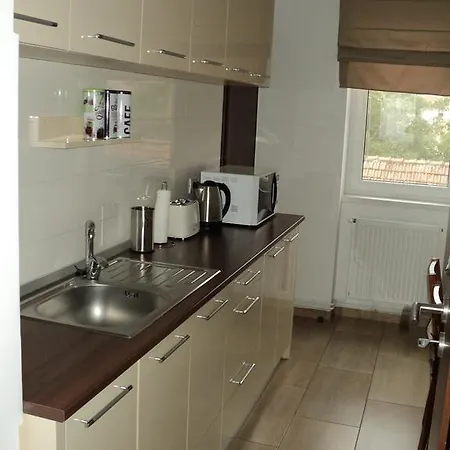 Joy Apartament Timișoara