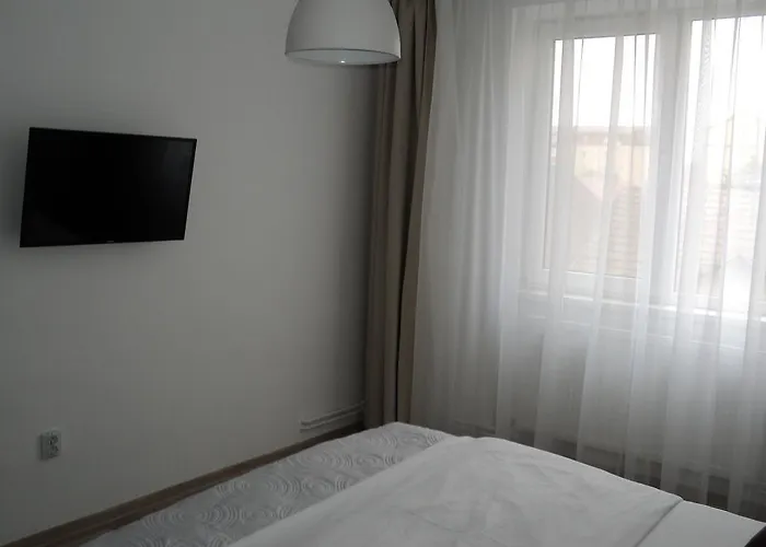 Joy Apartament Timișoara