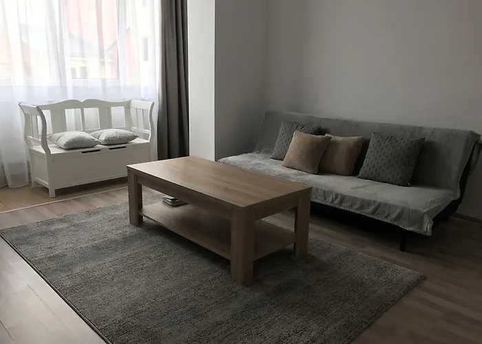 Joy Apartament Timișoara